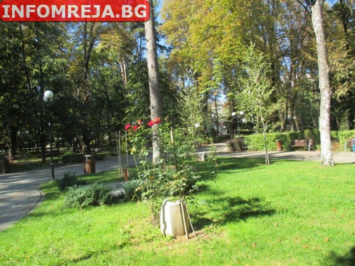 В община Гоце Делчев извършват дезакаризация на тревните площи
