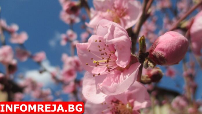 Слънчево време на Светла сряда