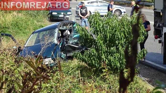 Водач от Елхово загина, удряйки се в дърво