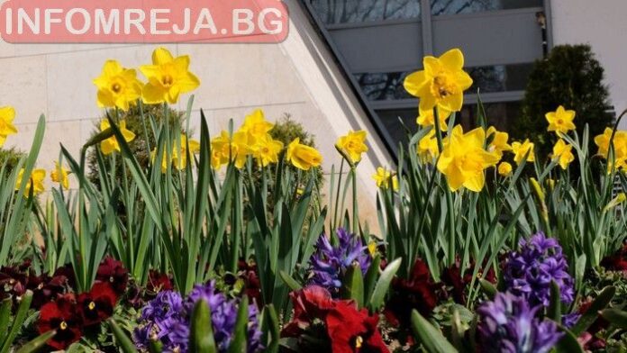 Днес ще преобладава слънчево време
