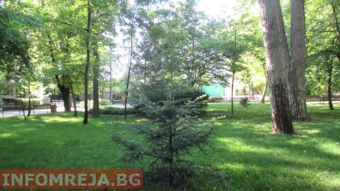Топло време с разкъсана висока облачност