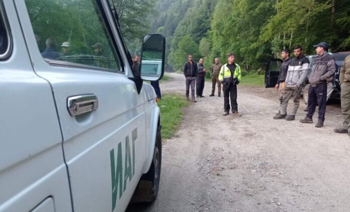 Равносметката на пожарите в Рила: Унищожени са 15 декара иглолистна гора