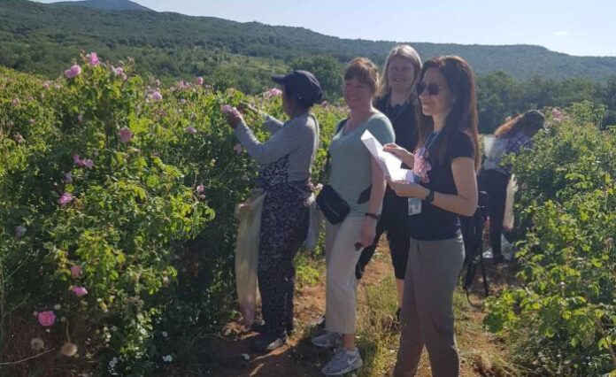 Инспектори по труда на България и Норвегия извършиха съвместни проверки у нас