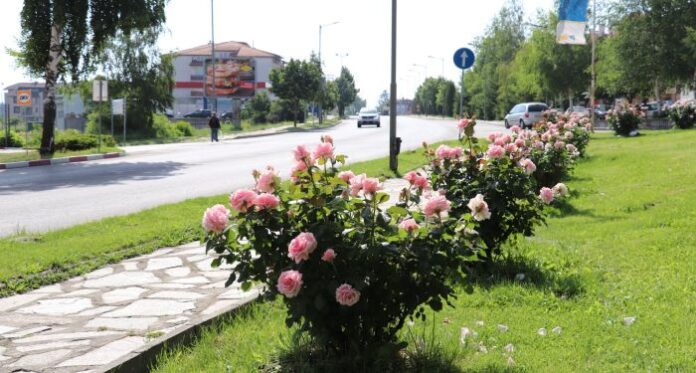 Банско посреща лятото красиво и цветно