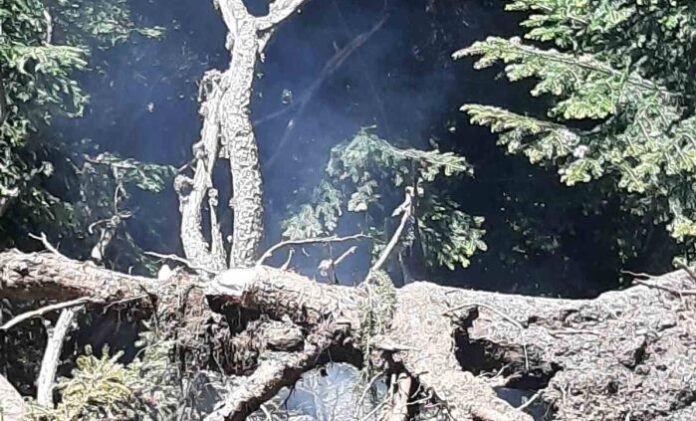 Отново пожар на територията на ПП „Рилски манастир“