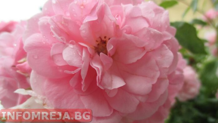 Днес ще се заоблачи и на много места ще има краткотрайни валежи