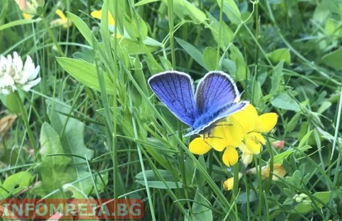 Днес ще преобладава слънчево време