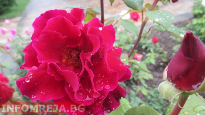 Днес на изток ще вали, на запад ще е слънчево