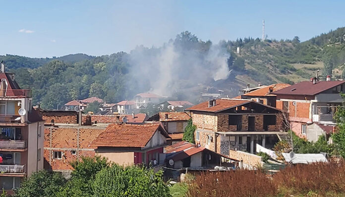 Сухи треви и храсти горят край зоопарка в Благоевград