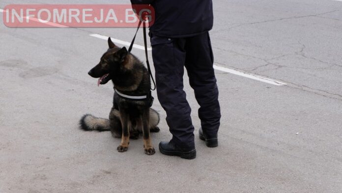 Разбиха ОПГ за търговия с кръв, 10 души са задържани