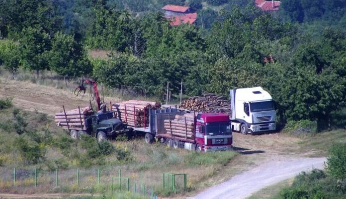 Сигнал за нарушение проверяват ЮЗДП и РДГ- Кюстендил