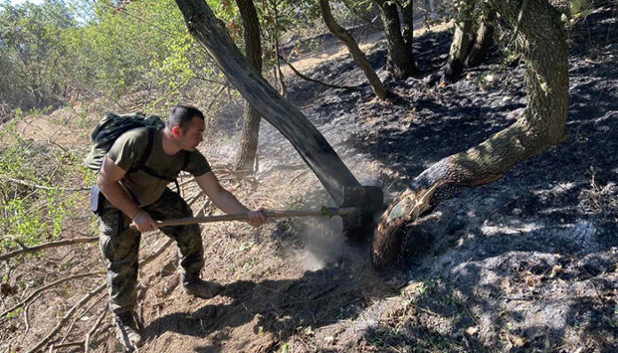 Военните помагат за потушаване на пожара край село Брягово