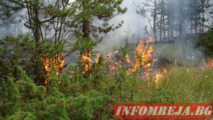 Обявиха частично бедствено положение в Харманли и Любимец