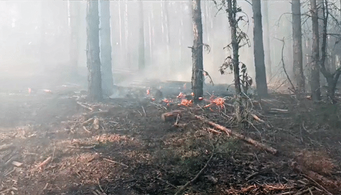 Пожарът край Кресна е овладян