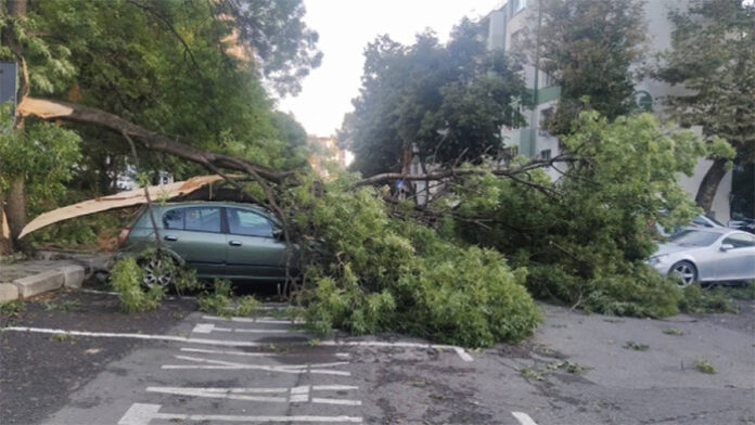 Над 120 коли са пострадали при бурята в Бургас