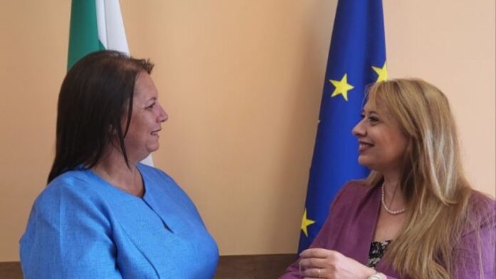 Служебният кабинет смени и шефа на Агенцията за закрила на детето