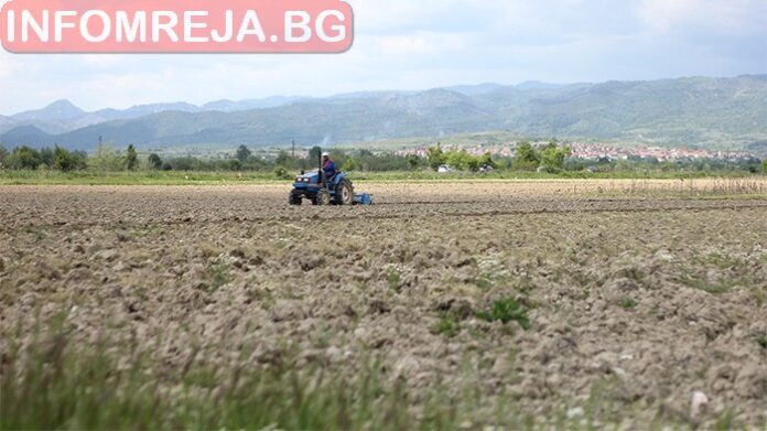 ЕС с подкрепа от 430 млн. евро за земеделските производители