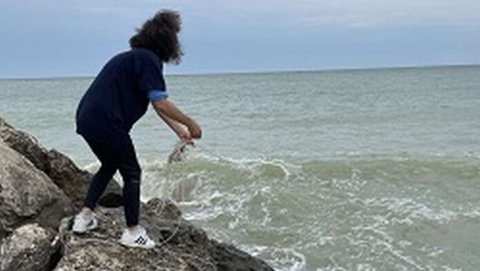 Няма данни за замърсяване в българската акватория на Черно море