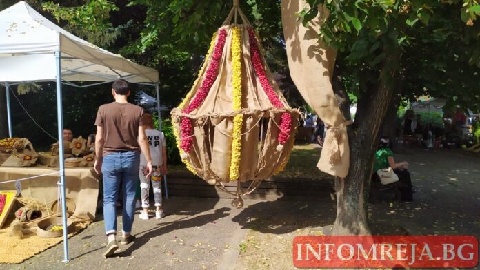 В село Граница отгледаха най-едрата череша в Кюстендилско