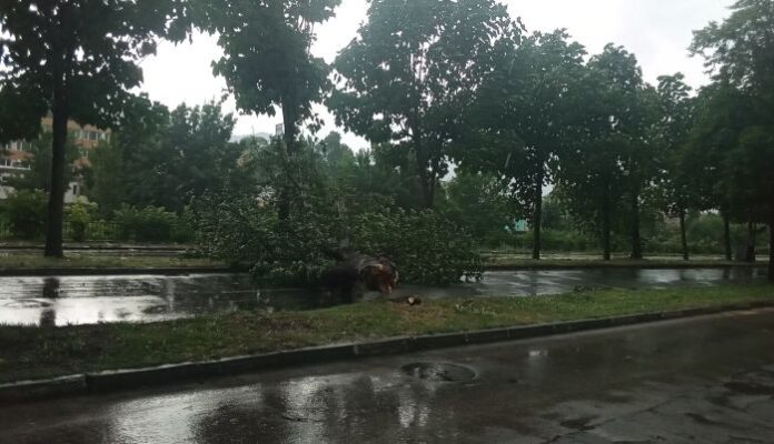 Пожарникарите обслужиха 5 произшествия след бурята в Кюстендил