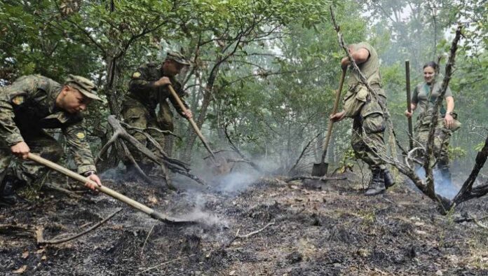 Военнослужещи от Сухопътните войски участват в гасенето на пожари в Хасковско
