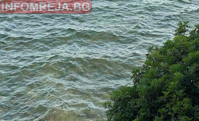 МОСВ твърди: Морето е чисто