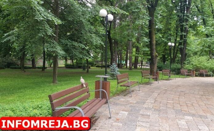 Неделният ден ще бъде слънчев