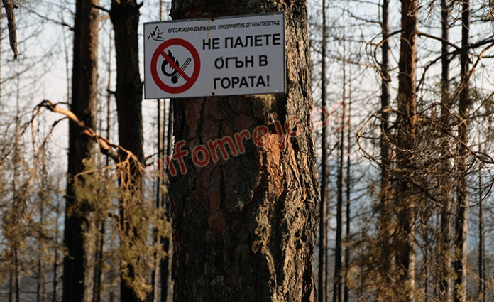 Проверяват за нерегламентирано палене на огън на парк „Витоша“