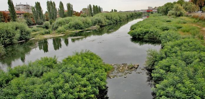 Пожар в коритото на река Марица в Пловдив, има обгазени райони
