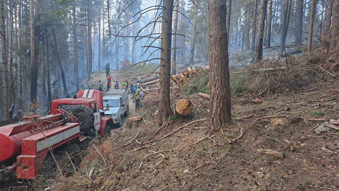 Пожар бушува в гората над Ресилово