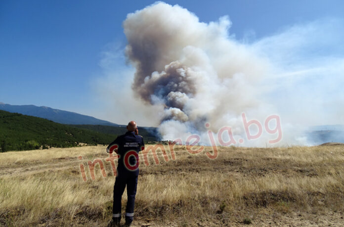 Горските следят пожарите в Гърция да не дойдат у нас