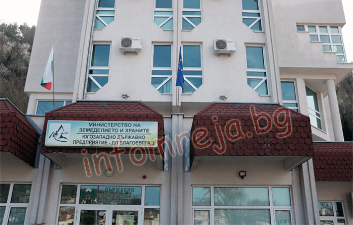 Калин Зашев отново оглави ДГС-Благоевград
