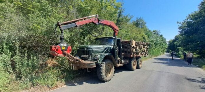 Пореден случай на кражба на дърва, този път в Невестино