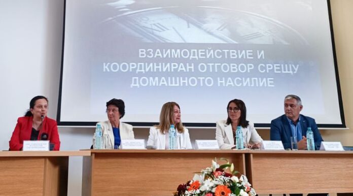 Разработват Национален координационен механизъм за защита от домашно насилие
