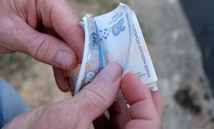 Определиха размера на спешната помощ за производителите на слънчоглед