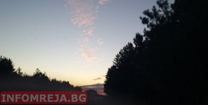 Слънчева неделя