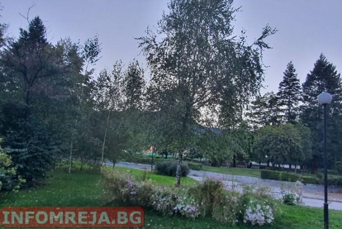 Слънчева неделя