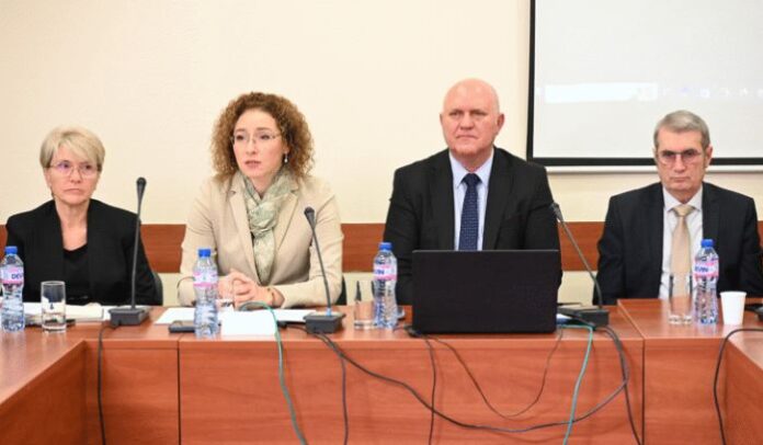 Шалапатова: Необходим е обществен консенсус за политиките за ранно детско развитие