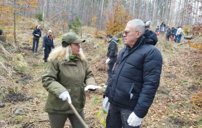 Създадоха нова "музикална гора" край село Железница