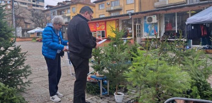 Горските инспектори от РДГ Кюстендил започнаха проверки на коледните елхи