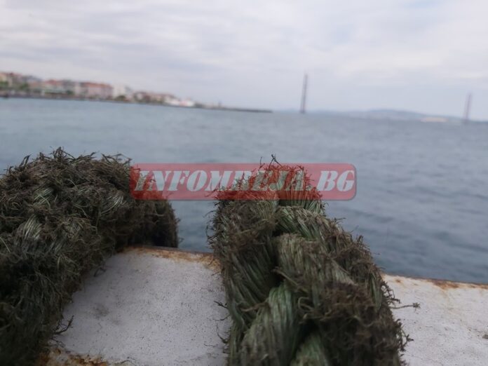 Български моряк от похитения „Руен“ е евакуиран с военен кораб на Индия