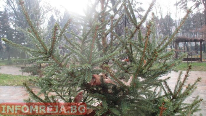 Днес времето ще бъде облачно, ще превали дъжд