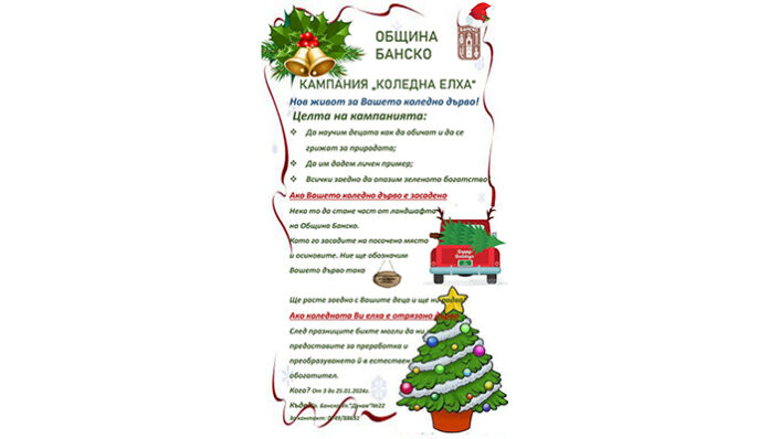 Втори живот за коледните елхи на банскалии, зассаждат ги в града