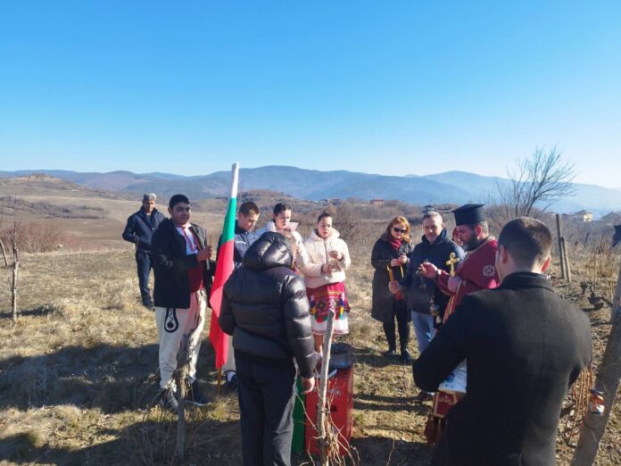 В Огняново зарязаха лозята
