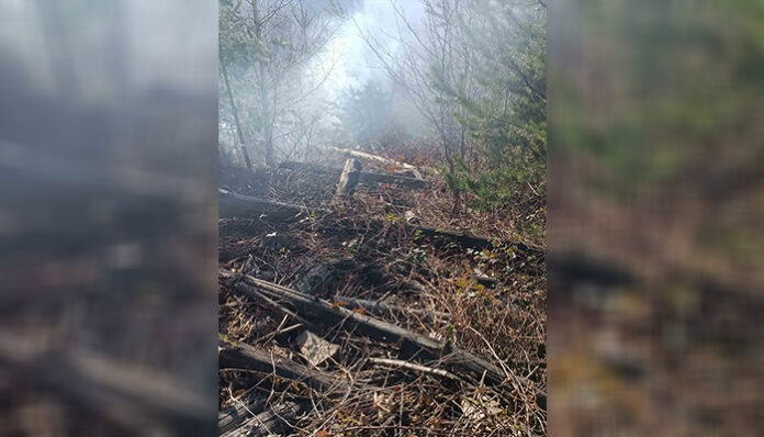 Горски служители се борят с пожари в района на Етрополе