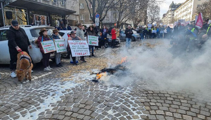 Мляко, слама и недоволство: Протест пред Министерството на земеделието
