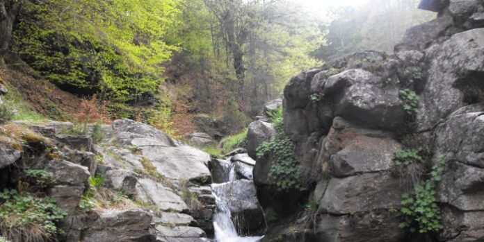 1000 доброволци от Струмяни се включват в кампанията 