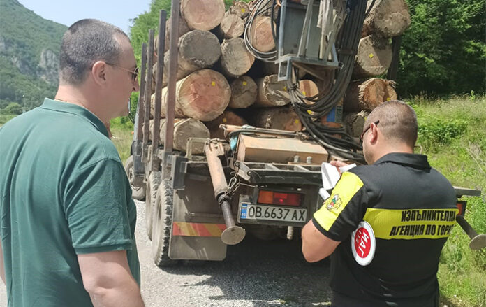 19 акта съставиха само за два дни горски служители в Ловешко