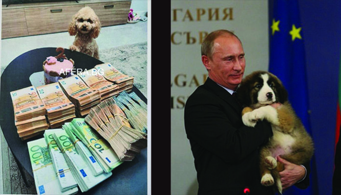 2020/2024 - Държавата на снимките