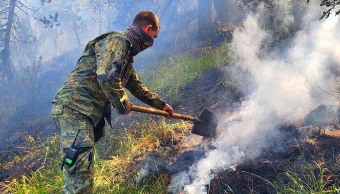 25 военни гасят Малешево